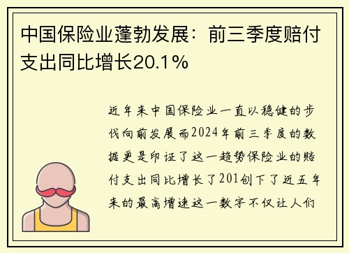 中国保险业蓬勃发展：前三季度赔付支出同比增长20.1%